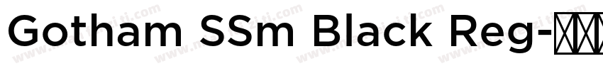 Gotham SSm Black Reg字体转换